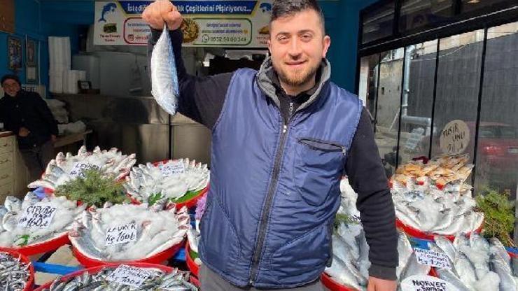 Sivasta balıkçılar sezonu kapatmaya hazırlanıyor