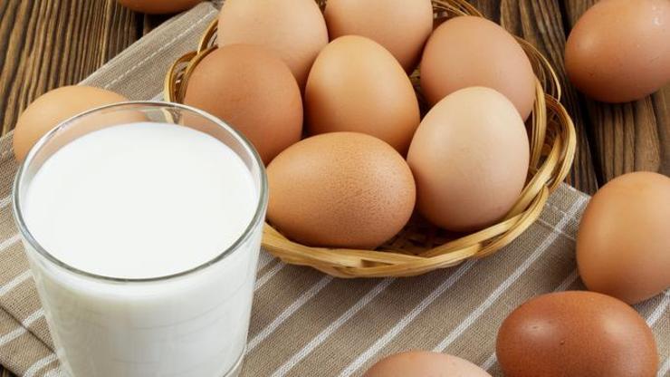 Tavuk yumurtası üretimi ve toplanan inek sütü miktarı, ocakta arttı
