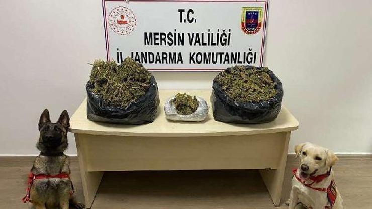 Mersinde uyuşturucu operasyonu: 2 gözaltı
