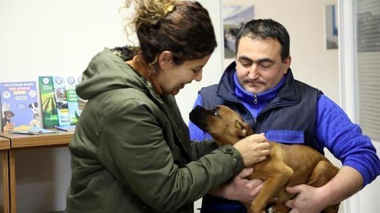 Depremzede çift, enkazdan yaralı kurtarılan köpeği sahiplendi
