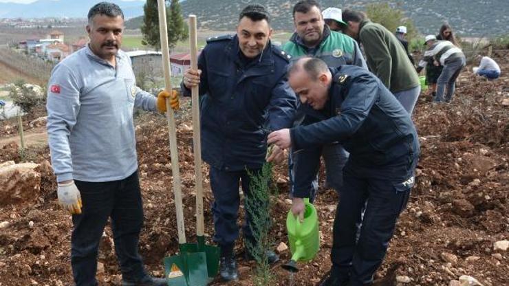 Fidanlar toprakla buluştu