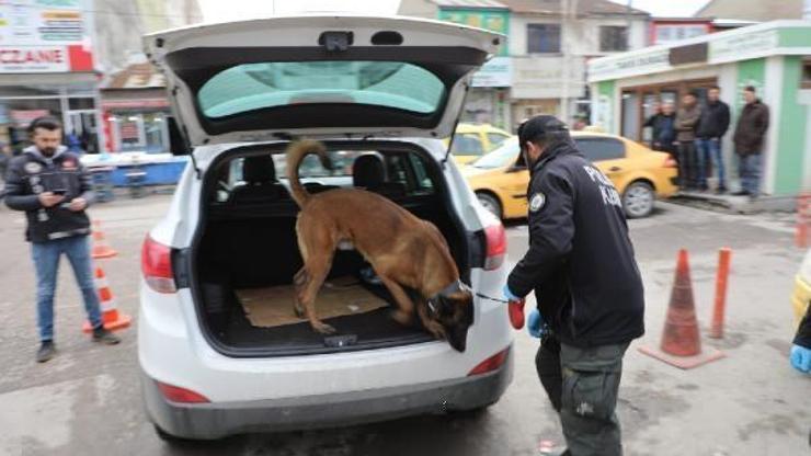 Narkotik köpekler Pars, Lucky ve Canas’la uyuşturucu denetimi