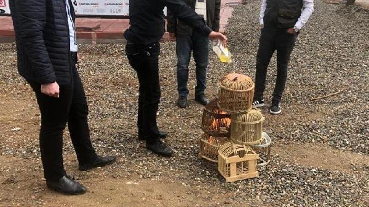 Siirt’te yol kontrolünde, 3 kınalı keklik ele geçirildi