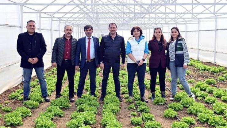Başkan Yüksel: Seralarımız şehrin çehresini değiştirecek