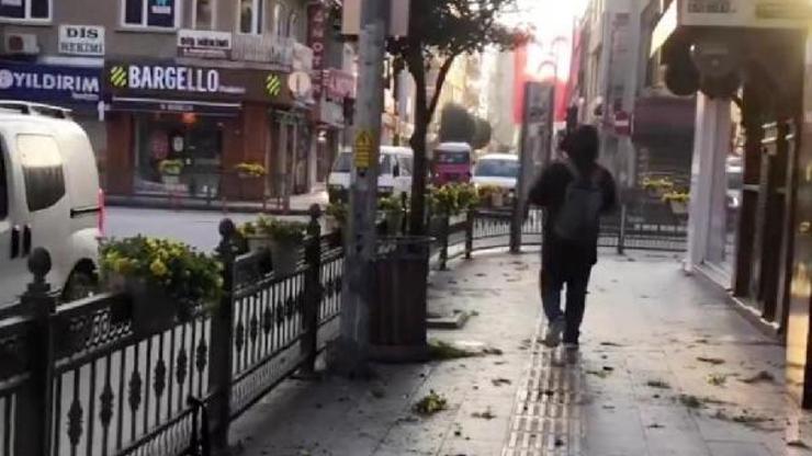Yalova Belediyesi çiçekleri zarar verenleri arıyor