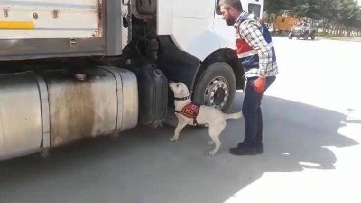 Şanlıurfa’da kaçakçılık operasyonlarında 26 gözaltı