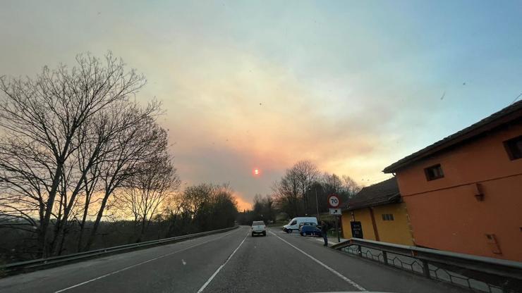 İspanyanın Asturias bölgesinde 60tan fazla orman yangını