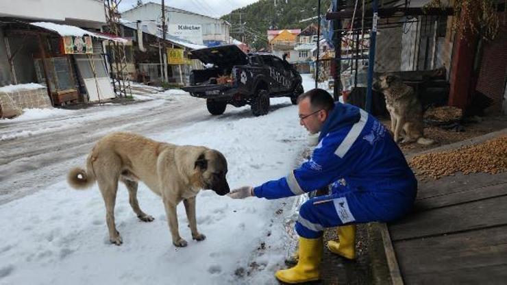 Yemek artıkları Amanoslarda hayvanlara yiyecek oluyor