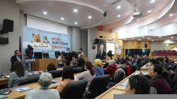 Başkan Böcek: Sokak hayvanlarına desteğimiz sürecek