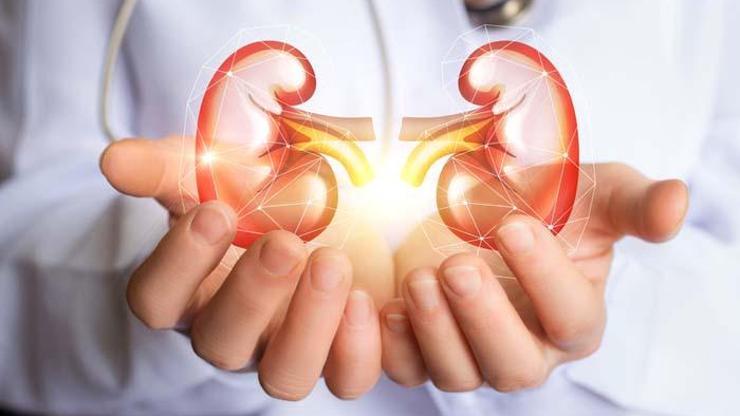 Böbrek hastaları Ramazanda su tüketimine dikkat