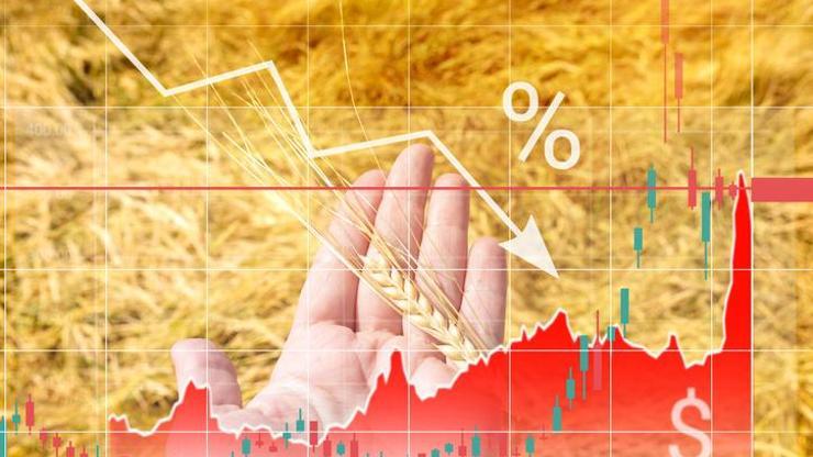 FAO Gıda Fiyat Endeksi 1 yıldır aralıksız düşüşte
