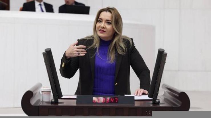 İYİ Partide Aylin Cesur liste başı