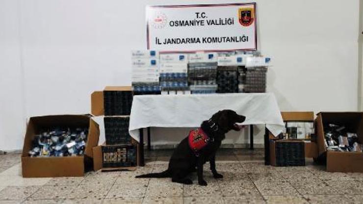 Jandarmadan kaçak sigara operasyonu: 1 gözaltı