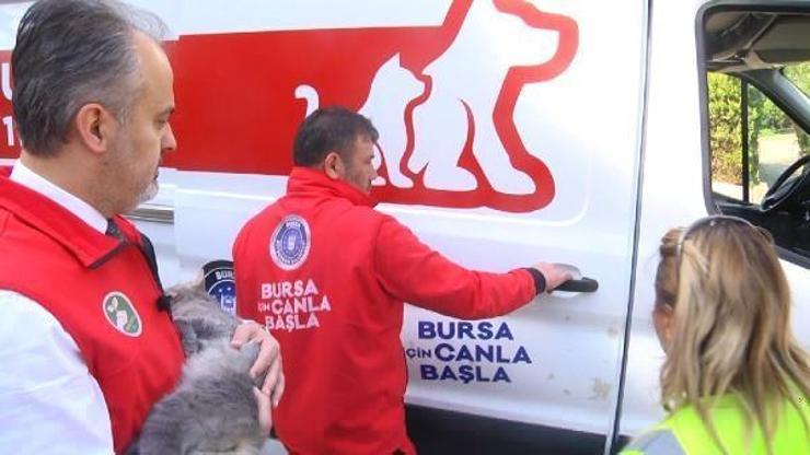 Haybulans ile 15 günde 164 can dosta müdahale edildi