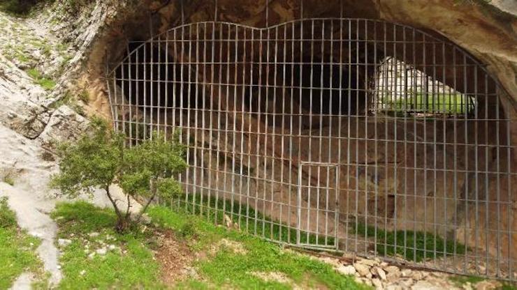 Definecilerin tahrip ettiği Palanlı Mağarası depremden etkilenmedi