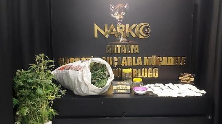 Evde uyuşturucu yetiştiren 2 kişi gözaltında