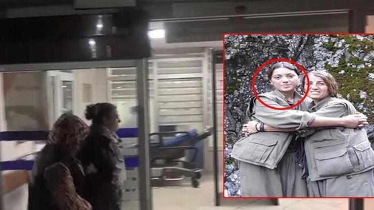 Yeşil Sol Parti milletvekili adayı Ayten Dönmez tutuklandı