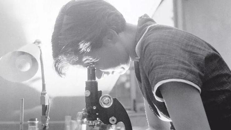 DNA mucidinin yeni ortaya çıkan gerçeği