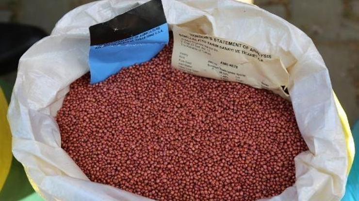 Bursa’da çiftçilere sorgum-sudan otu tohumu dağıtıldı