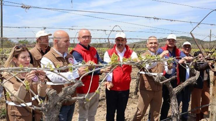 Manisada üreticilere 50 bin adet biyoteknik mücadele tuzağı dağıtıldı