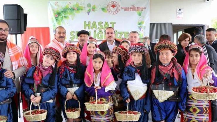 Kiraz Hasat Şenliği düzenlendi