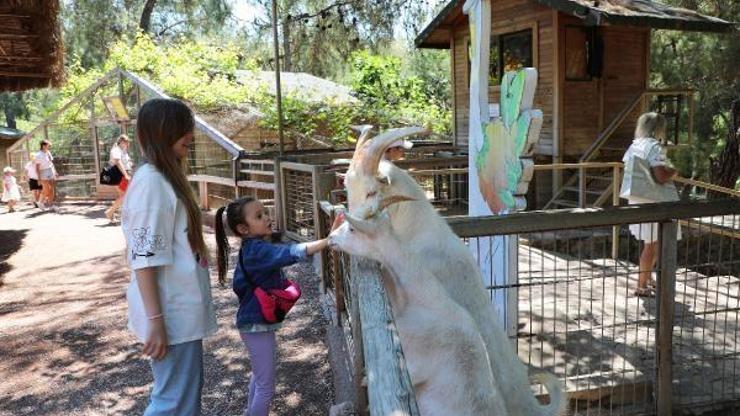 Antalya Doğal Yaşam Parkı yeni yavrularla şenlendi
