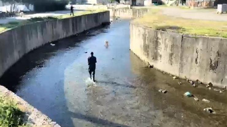 Dereye düşen kuzuyu itfaiye kurtardı