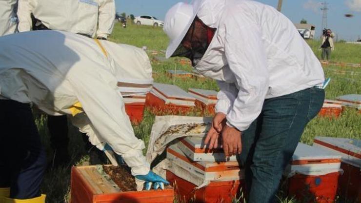 Şırnak’ta arıcılara 14 milyon liralık malzeme desteği