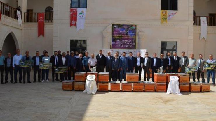 Siirt’te üreticilere 11 milyon değerinde arılı kovan dağıtıldı