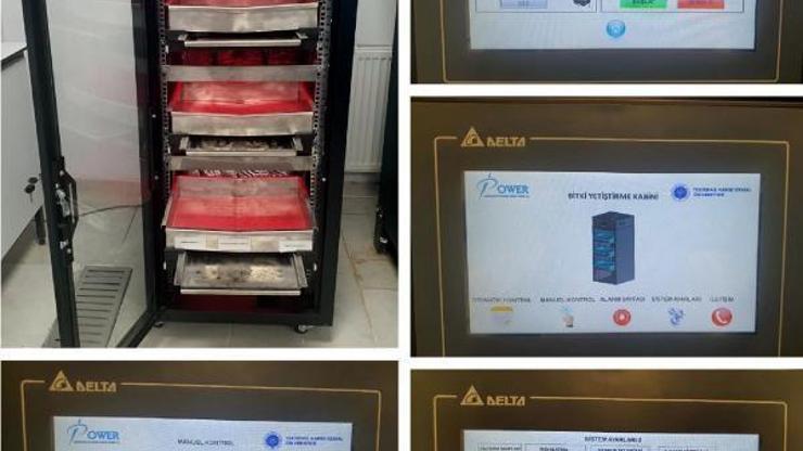 NKÜde, tam otomasyonlu prototip mikro yeşillik bitki yetiştirme kabini tasarlandı