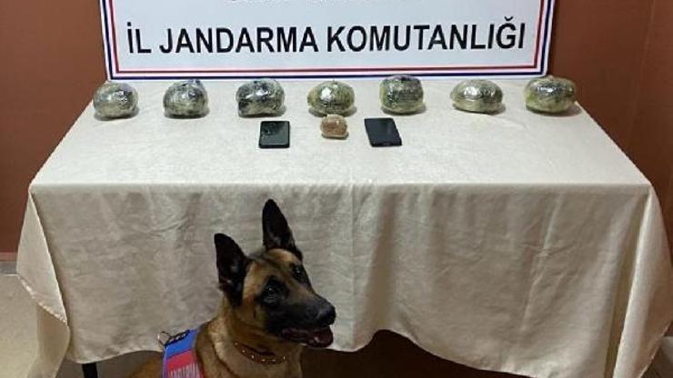 Siirt’te 5 ayda uyuşturucu operasyonlarında 18 tutuklama