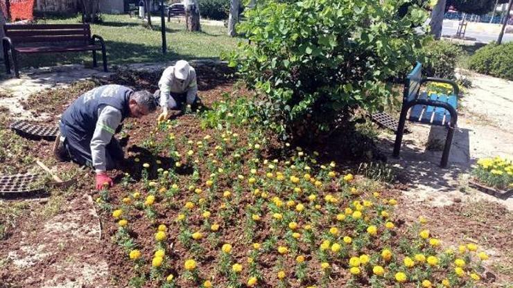 Akdeniz’de park, bahçe ve yeşil alanlarda çalışmalar sürüyor