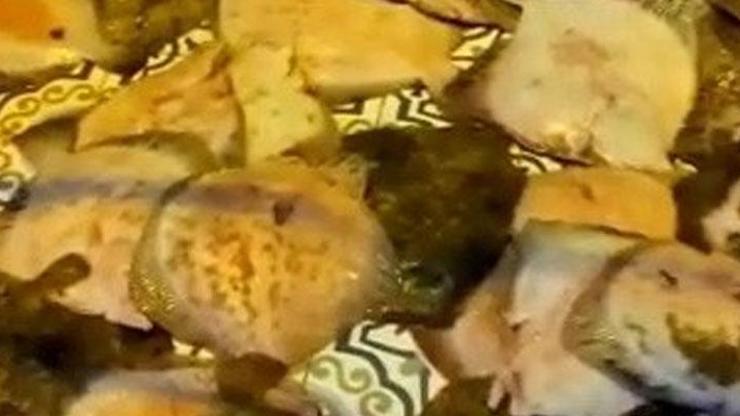 Yasadışı kalkan balığı avlayan 3 kişiye 25 bin 163 lira ceza