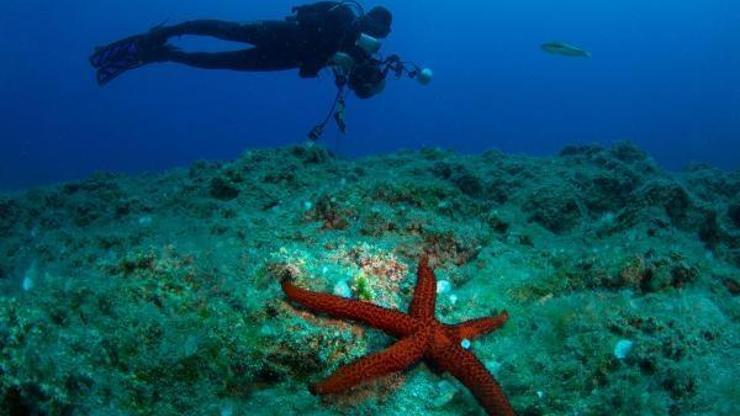 Uluslararası Kemer Sualtı Günleri başlıyor