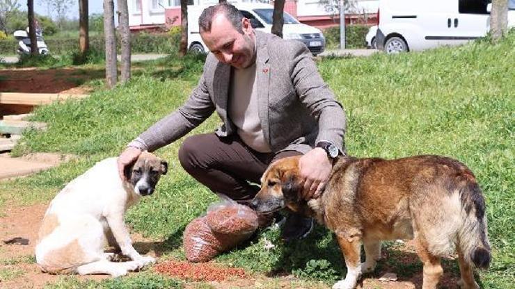 Yalova Belediyesi’nden 2,5 milyonluk çevre ve hayvan dostu proje