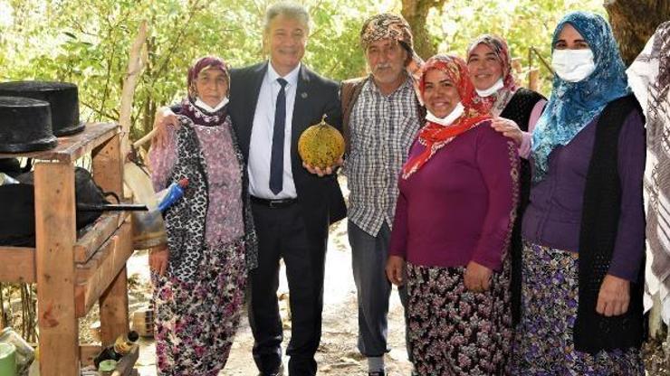 Bornovada hedef 50 milyon atalık tohum