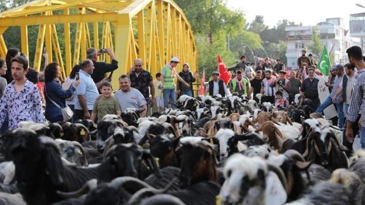 Manavgatta Yörük Göçü yapıldı