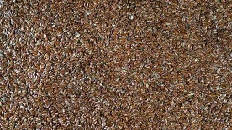 Omega 3 yönünden en zengin bitkisel kaynak oymuş Damarda yağ çözücü etkisi bırakıyor