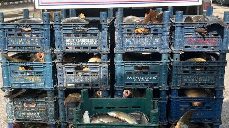 Elazığ’da kaçak balık avlayan kişiye bin 654 lira para cezası