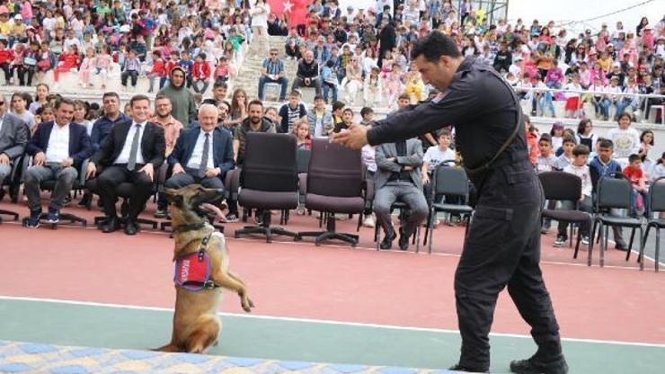 Tokatta jandarma arama köpekleri öğrencilere hünerlerini sergiledi