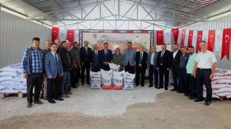 Amasyada üreticilere tohum desteği