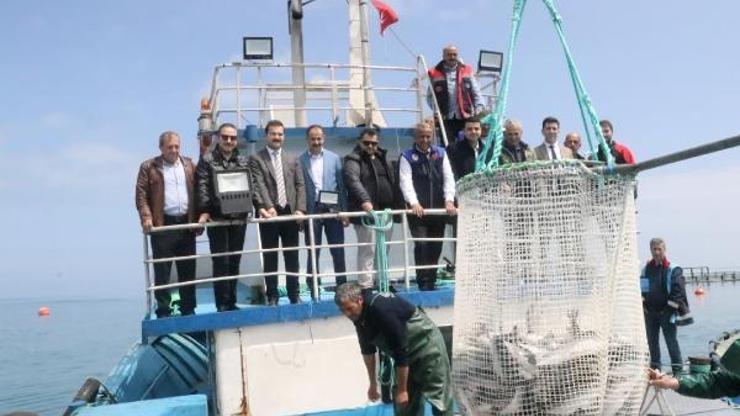 Samsun’da Türk somonu hasadı başladı