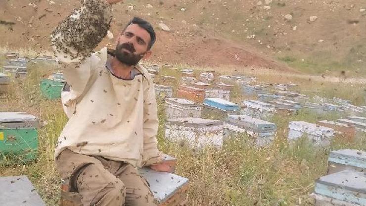 Koruyucu kıyafet giymeden arıların içinde durdu