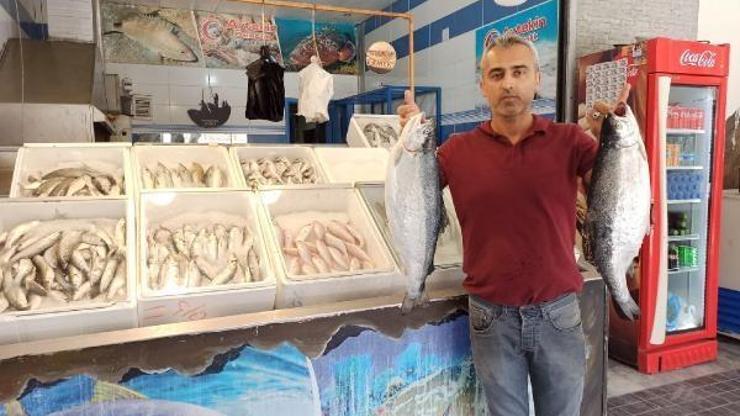 İskenderunlu balıkçılar tezgahlarını açtı