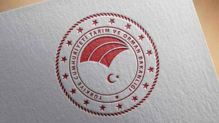 Özel sektöre kesimlik hayvan ithalatı izni verileceği iddialarına yalanlama
