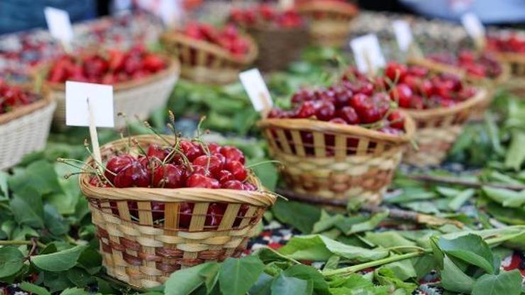 Buca Kiraz Festivali için gün sayıyor