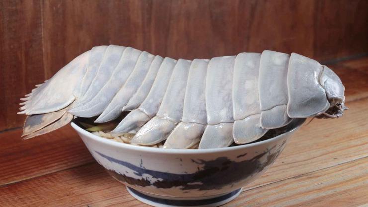 Taipeideki restoran menüsünün yeni yıldızı: 14 ayaklı tespih böceği