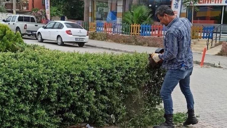 Osmaniye’de park ve yeşil alanlarda çalışmalar sürüyor