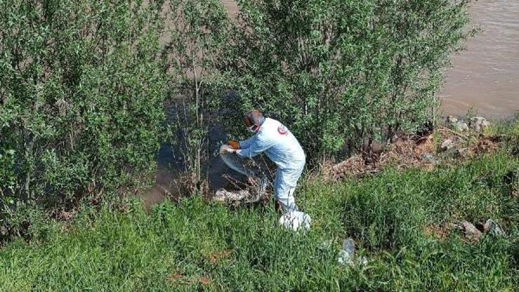 Zarada larva ilaçlama çalışması yapıldı