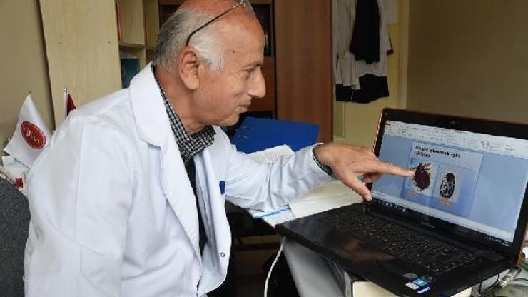 Prof. Dr. Açıcı: Keneler yaydığımız karbondioksit kokusunu algılayarak aktif duruma geçiyor